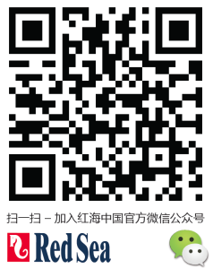 Red Sea On WeChat